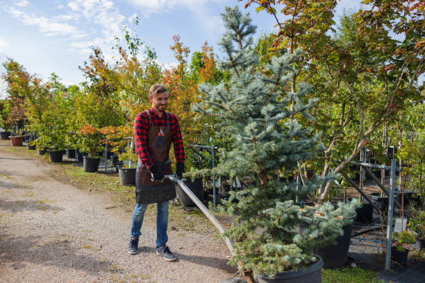  Moses Lake, WA Tree Services Pros